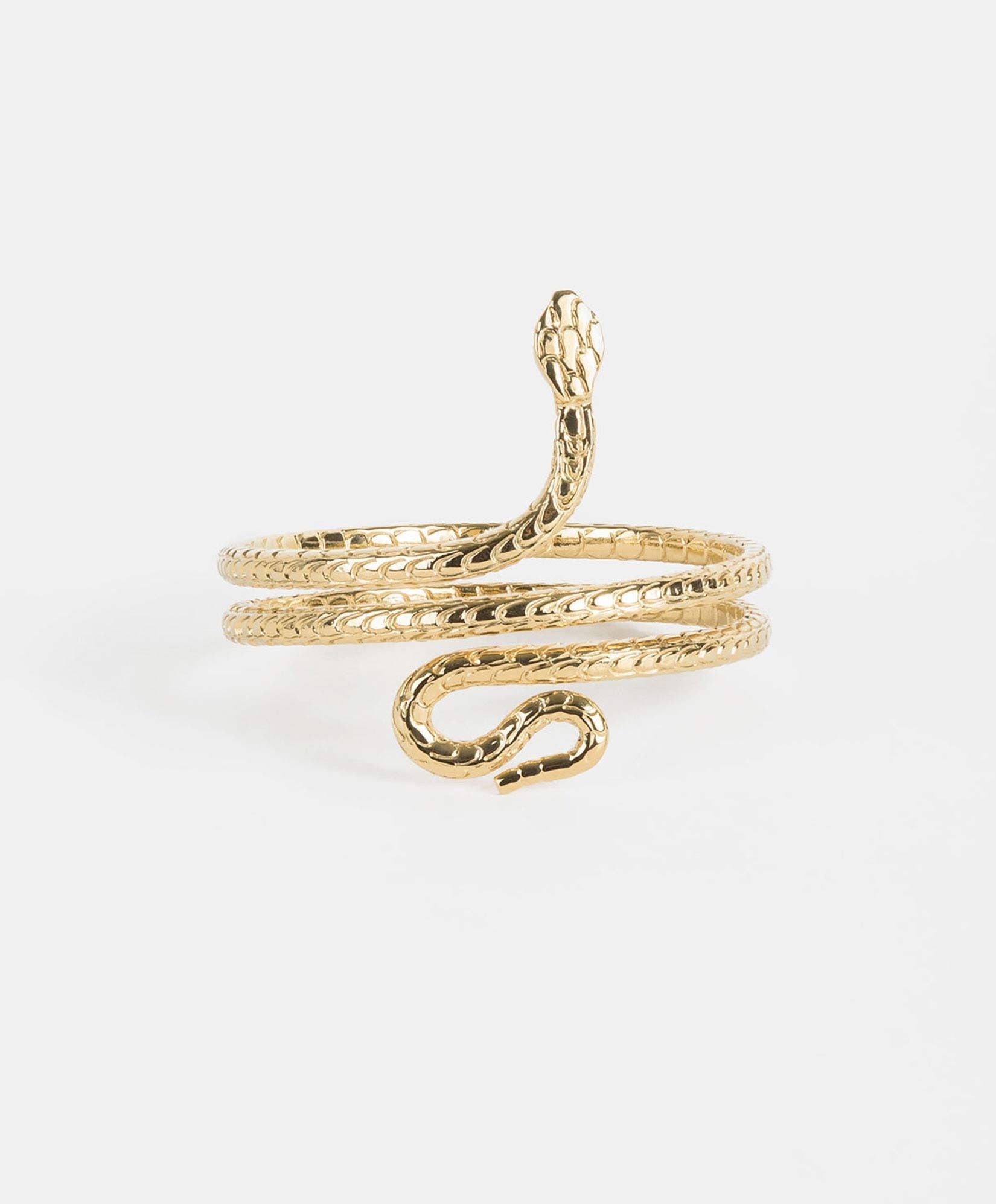Poison gold-plated hammered snake earrings
